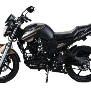 Мотоцикл Motoland BANDIT 300 синий – Миниатюра 2